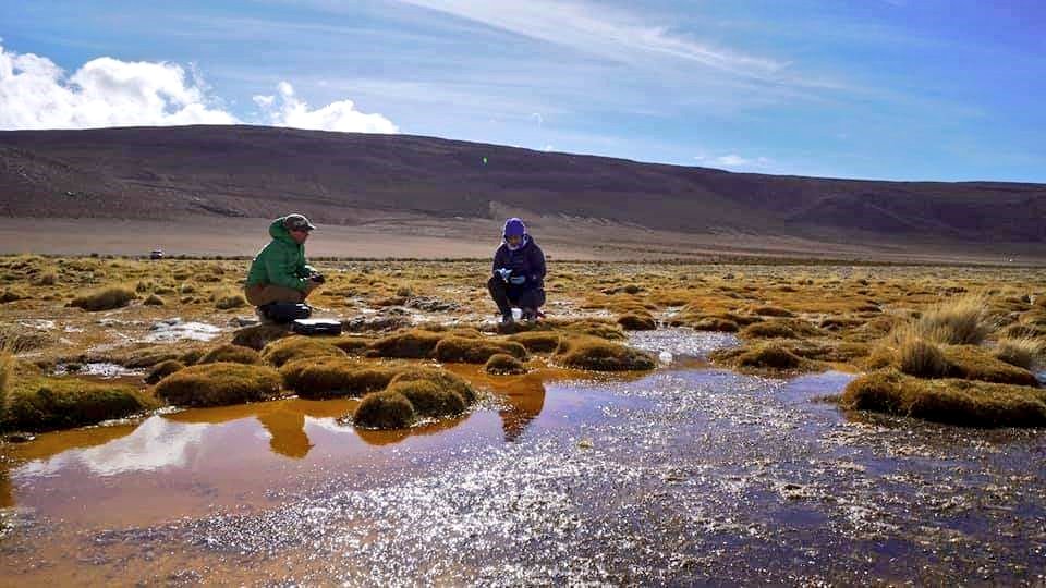 Científicos explorando el desierto